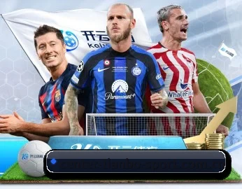 m.center-tianbo-sport.com.cn的故事